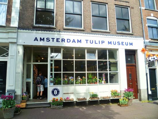 Amsterdam Tulip Museum