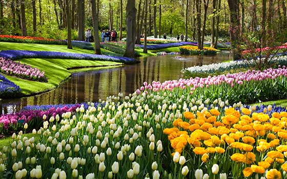 Keukenhof