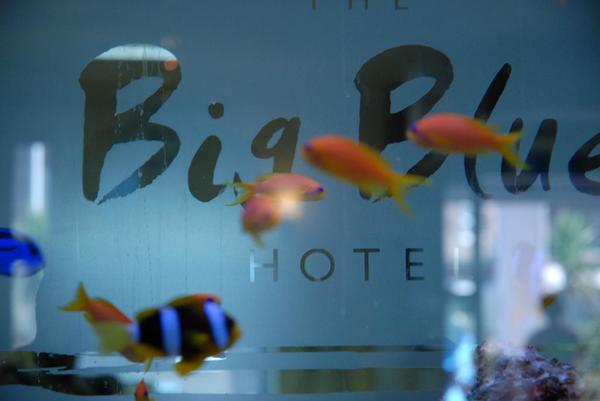 Blackpool酒店推荐 - Big Blue Hotel